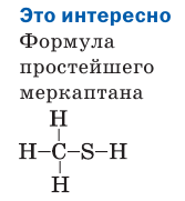 Органическая химия - основные понятия, что изучает, формулы и определения с примерами