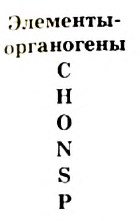 Органическая химия - основные понятия, что изучает, формулы и определения с примерами