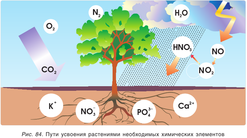 Фосфор в химии - классификация, получение, свойства, формулы и определения с примерами