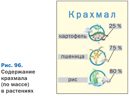 Органическая химия - основные понятия, что изучает, формулы и определения с примерами