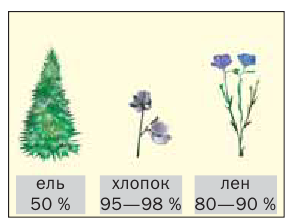 Органическая химия - основные понятия, что изучает, формулы и определения с примерами