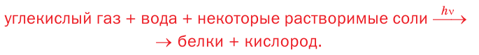 Органическая химия - основные понятия, что изучает, формулы и определения с примерами