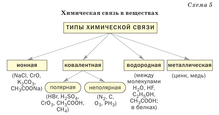 Органическая химия - основные понятия, что изучает, формулы и определения с примерами