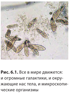 Механическое движение в физике - виды, формулы и определения с примерами