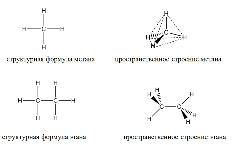 Органическая химия - основные понятия, что изучает, формулы и определения с примерами