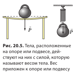 Сила тяжести в физике - формулы и определения с примерами