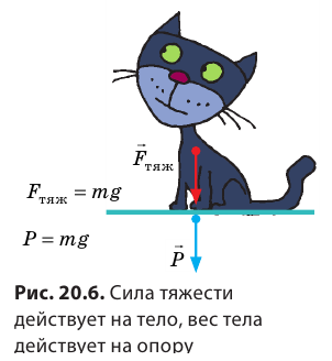 Сила тяжести в физике - формулы и определения с примерами