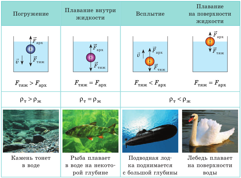 Выталкивающая сила в физике - виды, формулы и определения с примерами