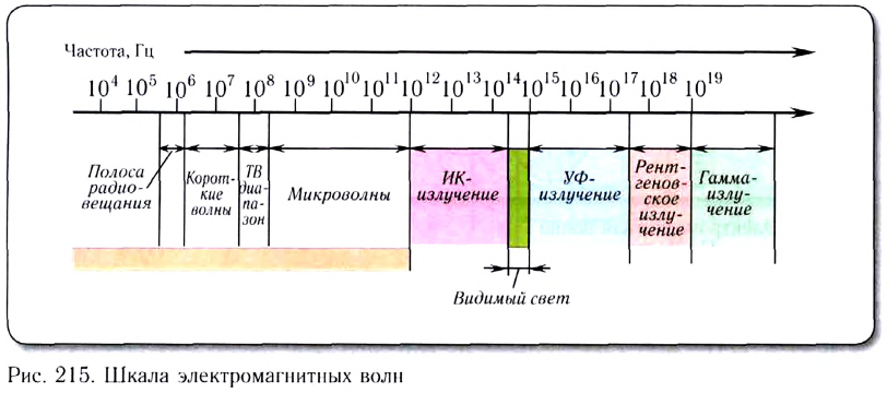 Волновое движение в физике - формулы и определение с примерами