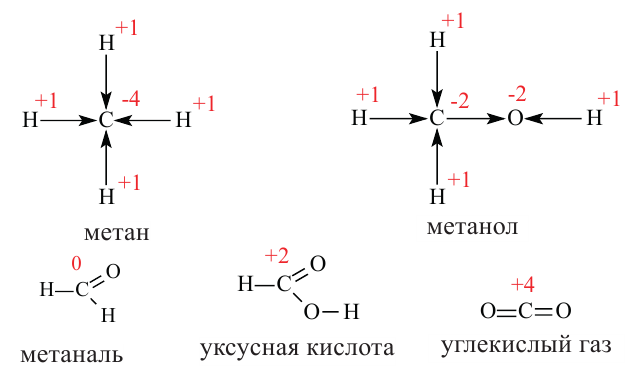 Органическая химия - основные понятия, что изучает, формулы и определения с примерами