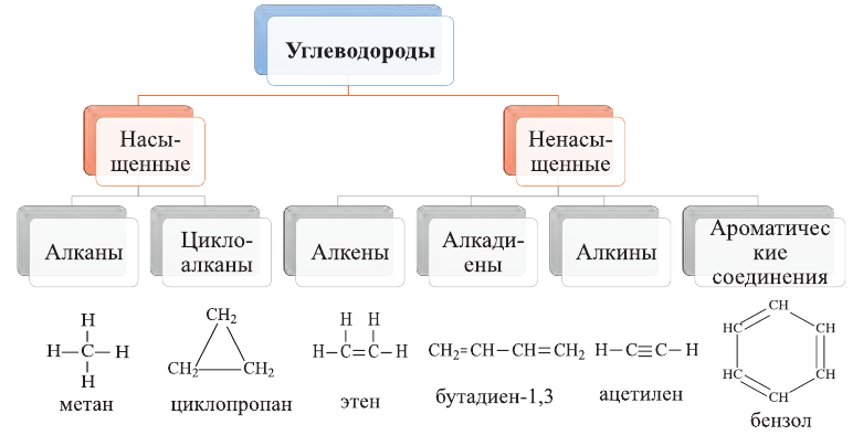 Органическая химия - основные понятия, что изучает, формулы и определения с примерами