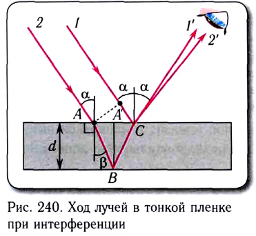 Волновая оптика в физике - формулы и определение с примерами