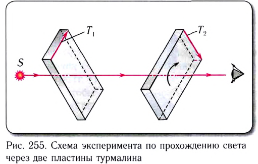 Волновая оптика в физике - формулы и определение с примерами