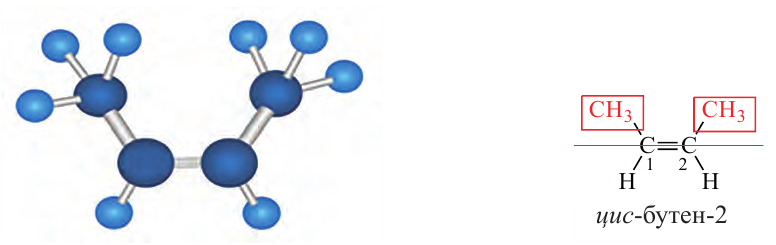 Цис бутен 2 изомерия