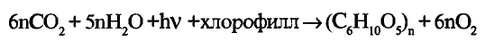 Органические соединения в химии - формулы, реакции и определения с примерами