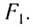Геометрическая оптика в физике - формулы и определение с примерами