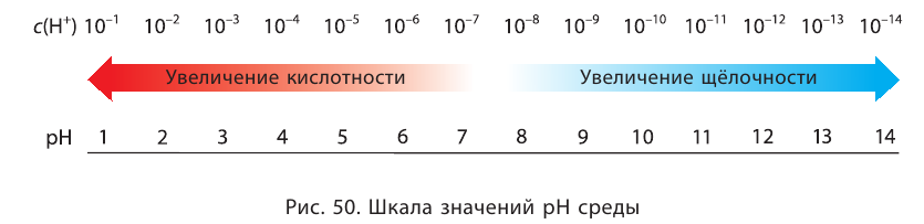 Растворы в химии - виды, получение, формулы и определения с примерами