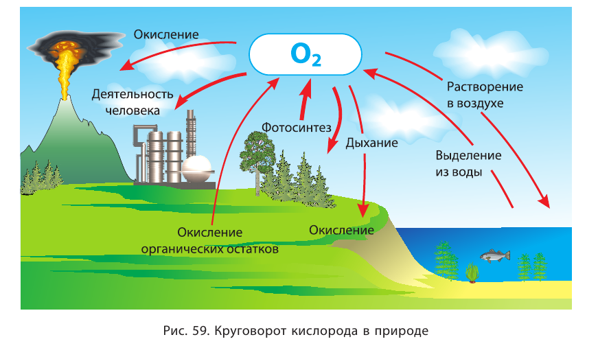 Неметаллы в химии - формулы и определение с примерами