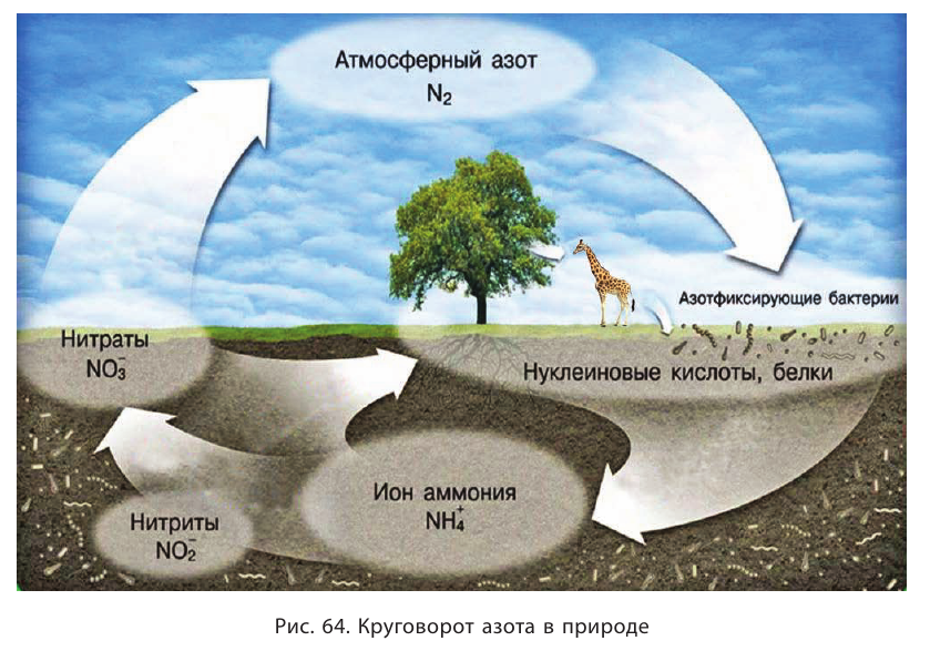 Неметаллы в химии - формулы и определение с примерами