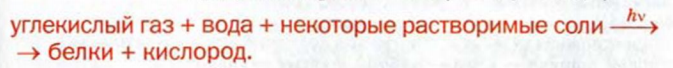 Нитрогенсодержащие органические соединения в химии с примерами