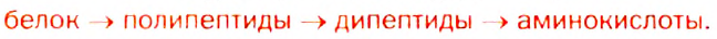 Нитрогенсодержащие органические соединения в химии с примерами