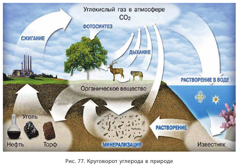 Неметаллы в химии - формулы и определение с примерами