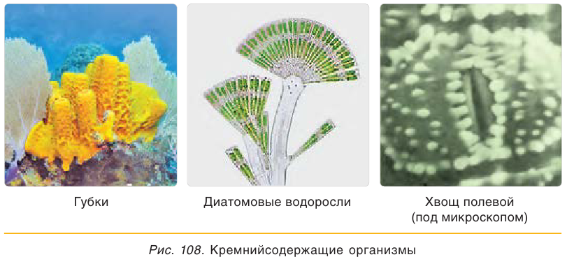 Кремний в химии - классификация, получение, свойства, формулы и определения с примерами