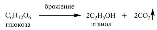 Органическая химия - основные понятия, что изучает, формулы и определения с примерами