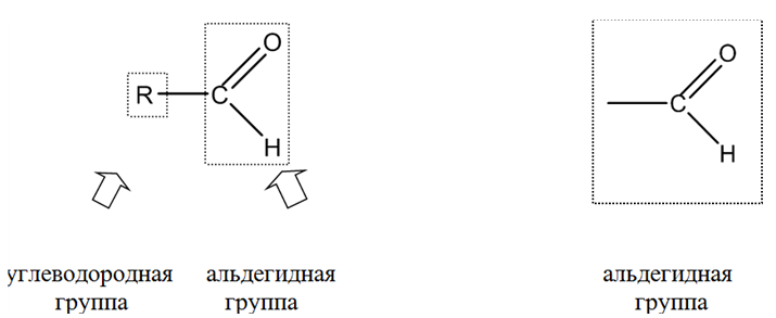 Органическая химия - основные понятия, что изучает, формулы и определения с примерами