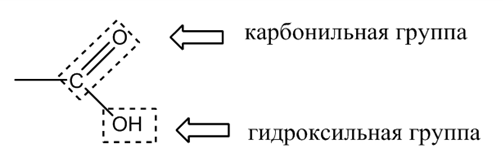 Органическая химия - основные понятия, что изучает, формулы и определения с примерами