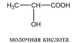 Органическая химия - основные понятия, что изучает, формулы и определения с примерами