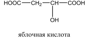 Органическая химия - основные понятия, что изучает, формулы и определения с примерами