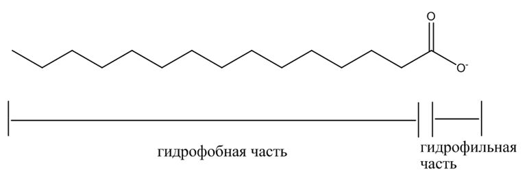 Органическая химия - основные понятия, что изучает, формулы и определения с примерами