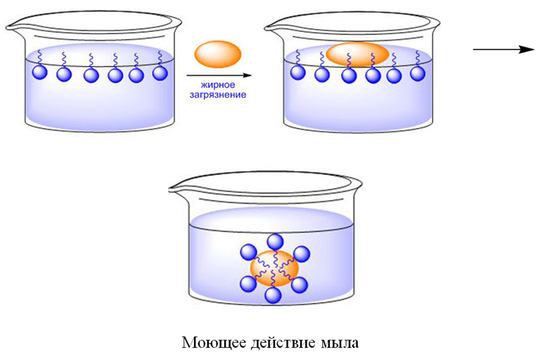 Органическая химия - основные понятия, что изучает, формулы и определения с примерами