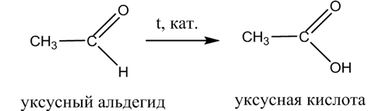 Органическая химия - основные понятия, что изучает, формулы и определения с примерами