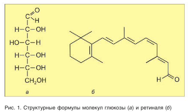 Органическая химия - основные понятия, что изучает, формулы и определения с примерами