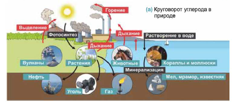 Неметаллы в химии - формулы и определение с примерами