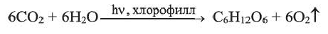 Неметаллы в химии - формулы и определение с примерами