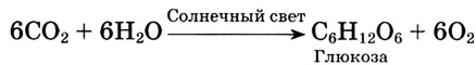 Органические соединения в химии - формулы, реакции и определения с примерами