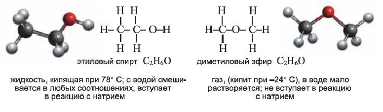 Органическая химия - основные понятия, что изучает, формулы и определения с примерами