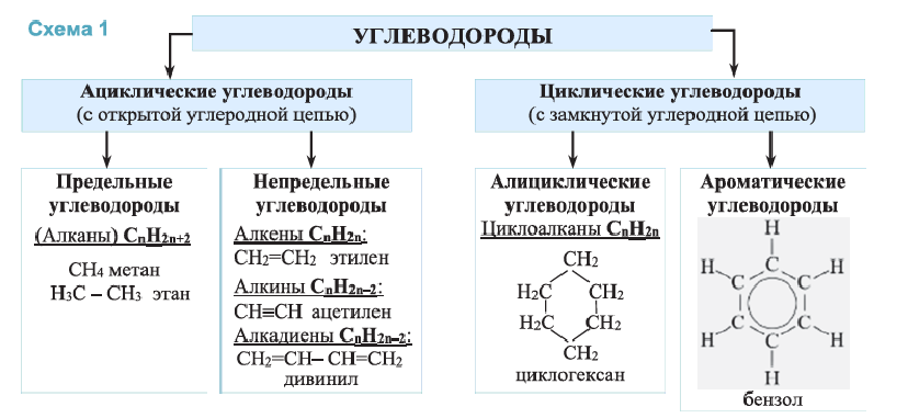 Органическая химия - основные понятия, что изучает, формулы и определения с примерами