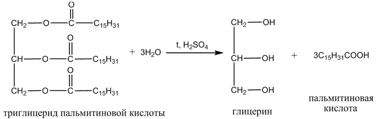 Органическая химия - основные понятия, что изучает, формулы и определения с примерами