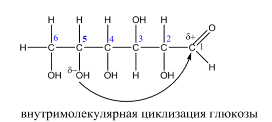 Органическая химия - основные понятия, что изучает, формулы и определения с примерами