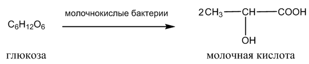 Органическая химия - основные понятия, что изучает, формулы и определения с примерами