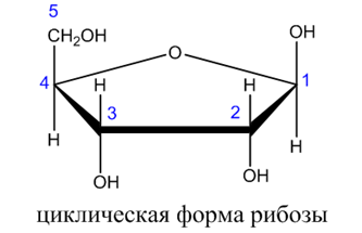 Органическая химия - основные понятия, что изучает, формулы и определения с примерами