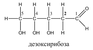 Органическая химия - основные понятия, что изучает, формулы и определения с примерами