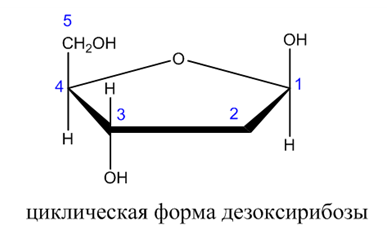 Органическая химия - основные понятия, что изучает, формулы и определения с примерами