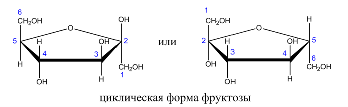 Органическая химия - основные понятия, что изучает, формулы и определения с примерами