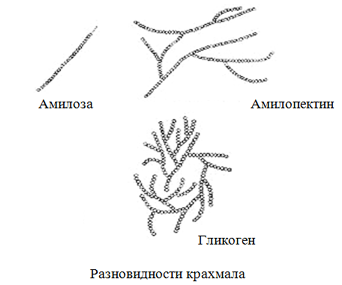 Органическая химия - основные понятия, что изучает, формулы и определения с примерами