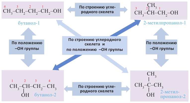 Кислородсодержащие органические соединения в химии - формулы и определения с примерами